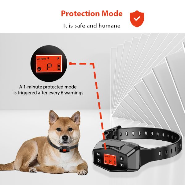 F800 Wireless Dog Fence