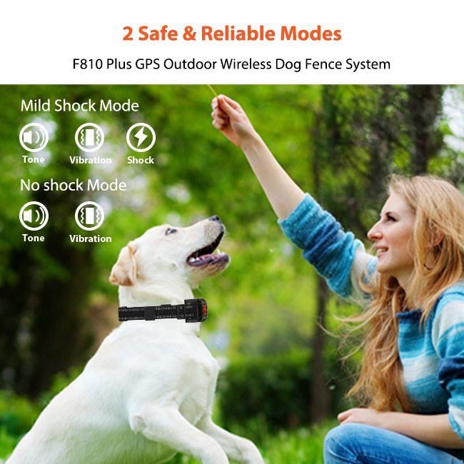 F810 Wireless Dog Fence