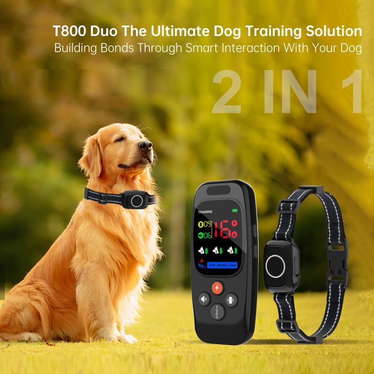 T800 Training Collar (4)