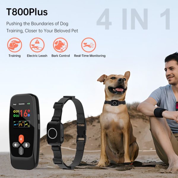 T800Plus Training Collar