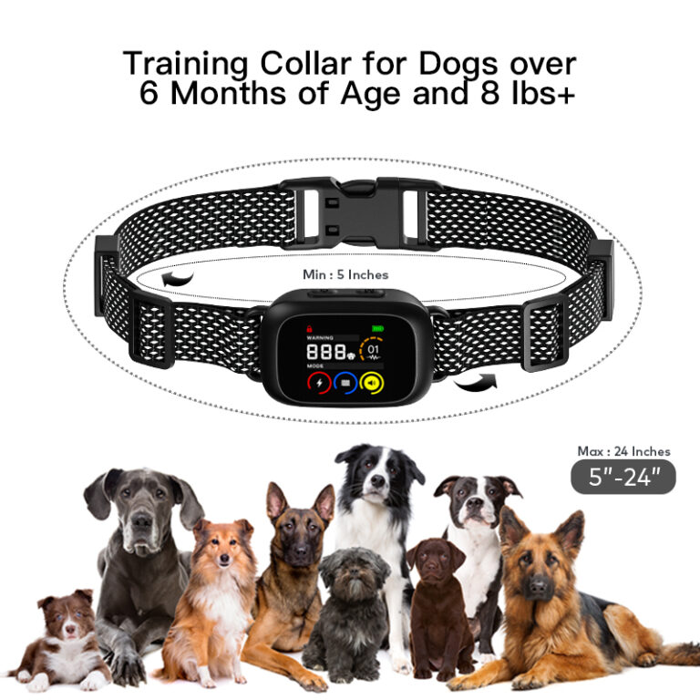 B630Plus Bark Control Collar