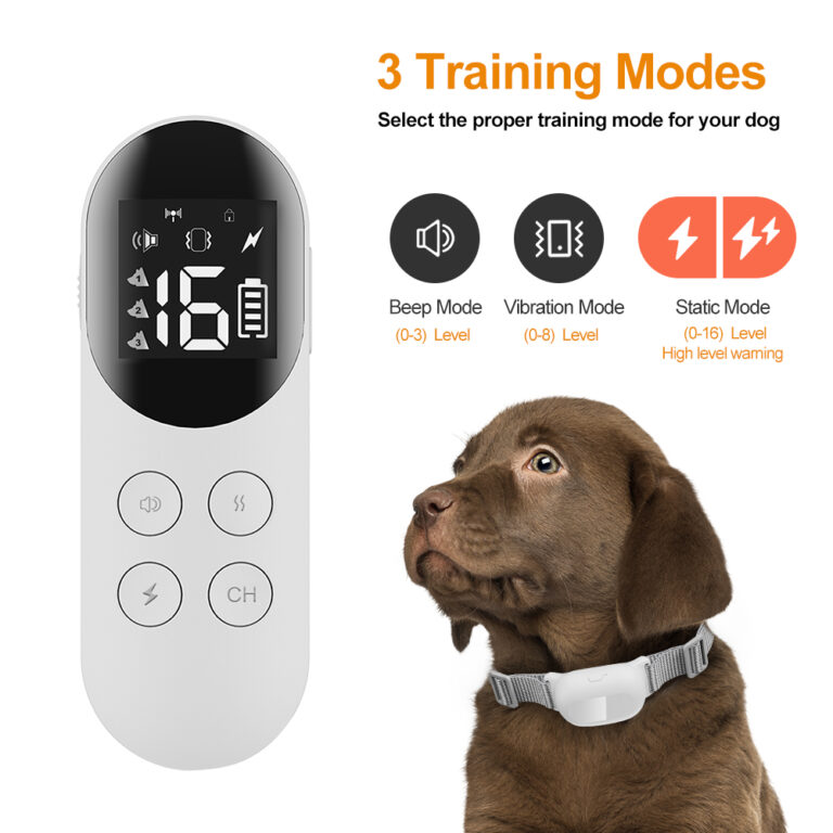 T200 Training Collar